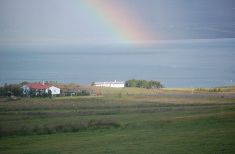 St Cloud: Is he really my true Valentine? Love and PTSD.