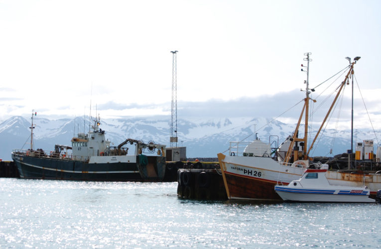 St Cloud: Woman/wife/mother: PTSD + suicidal thoughts