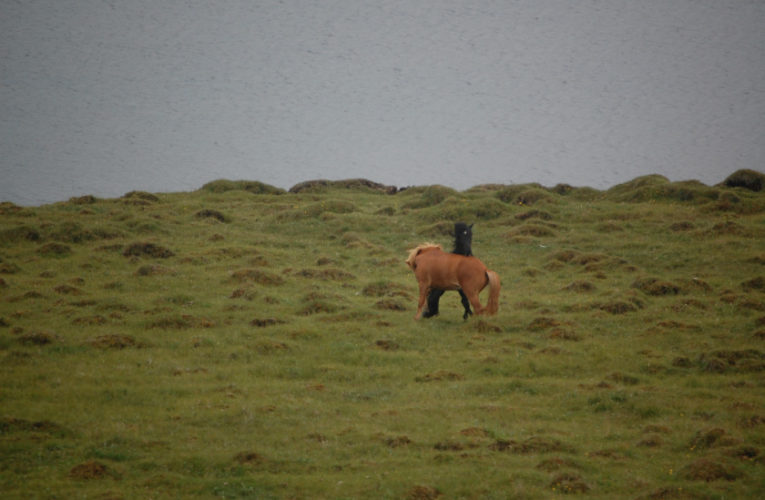 St Cloud: The Battle for Harmony When Living With PTSD