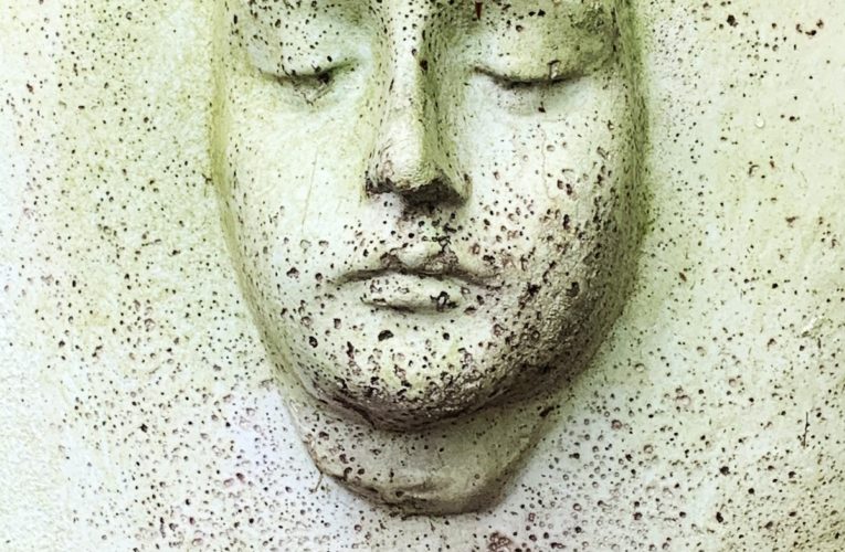 PTSD Book for Veterans and Trauma Sufferers in St Cloud