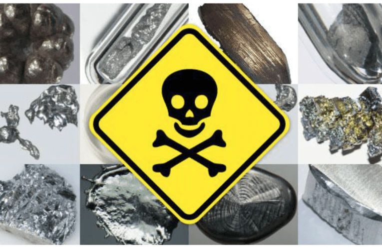 Take Control of Your Health at Home in St Cloud – Know how Heavy Metals Affect You